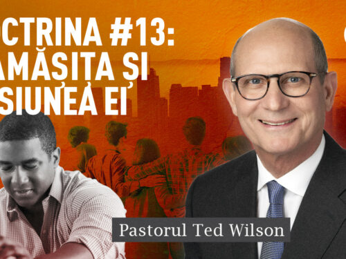 rămășița și misiunea ei